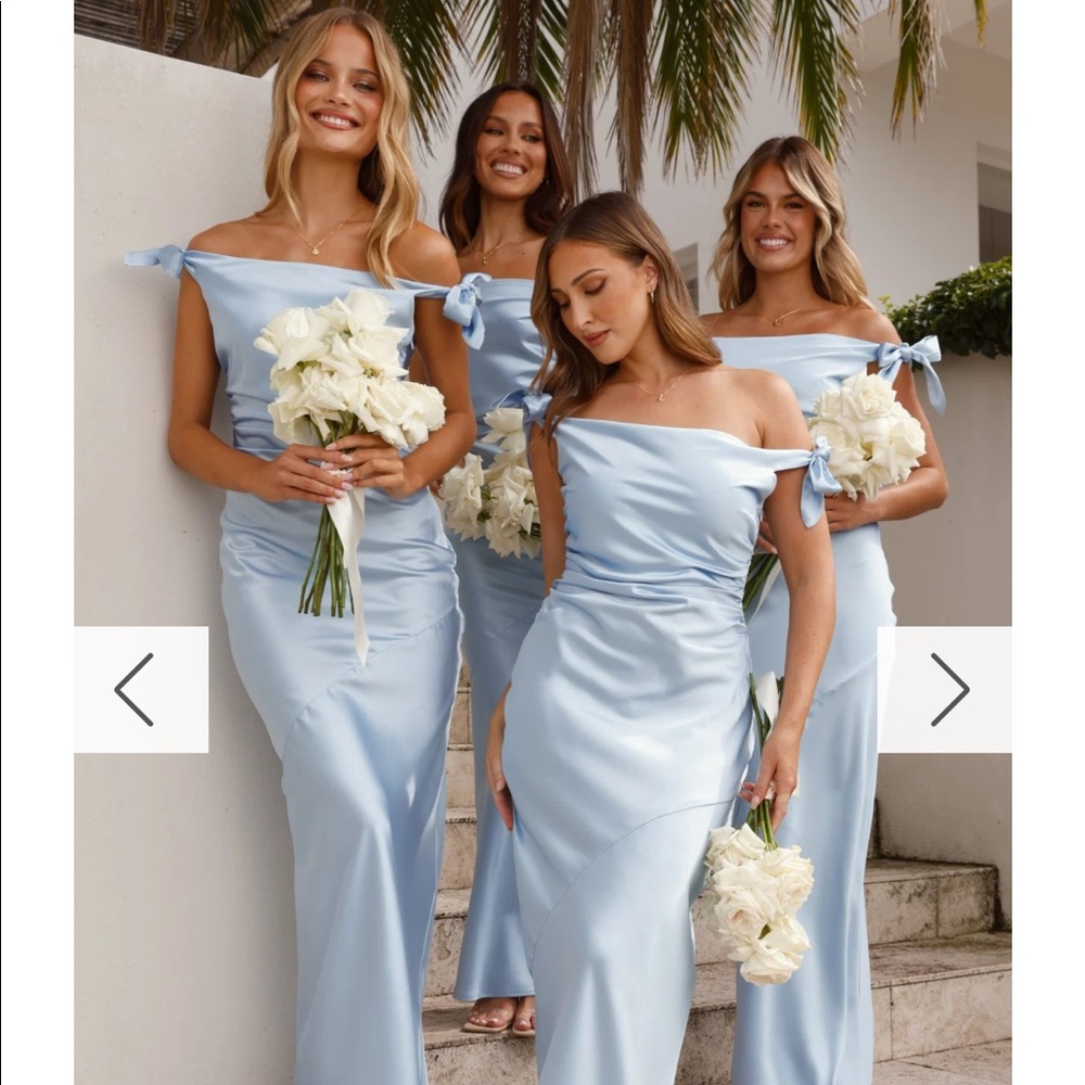 Billy Frida Dress NWT